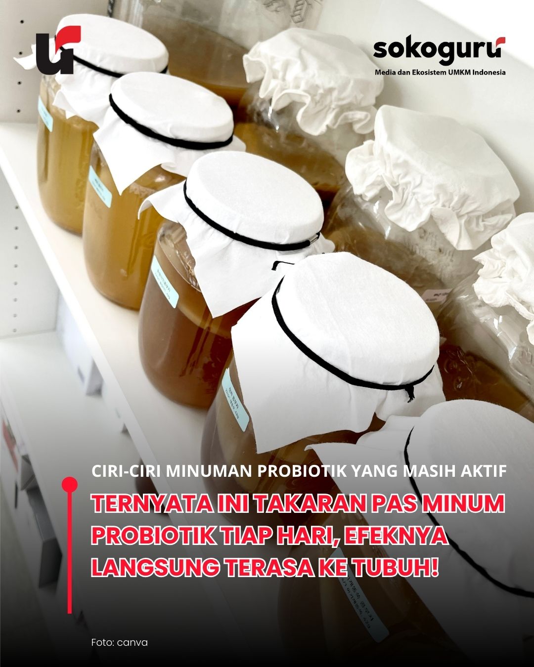 Terungkap! Bukan Cuma Kombucha, 4 Minuman Ini Bikin Usus Happy, Nomor 3 Jarang yang Tahu!