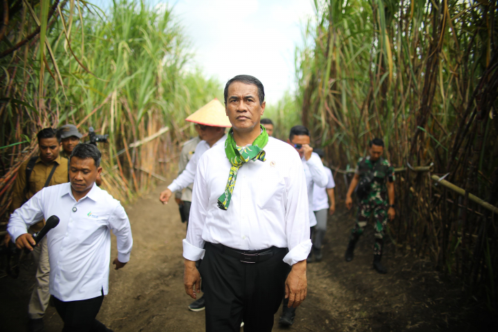 <p>Menteri Pertanian (Mentan) Andi Amran Sulaiman pada acara panen dan tanam tebu yang dilaksanakan di Kebun Lumajang 3 AFD, Desa Banter Barat, Kabupaten Lumajang, Jawa Timur pada Selasa, 10 Juni 2025. (Dok. Kementan).</p>
