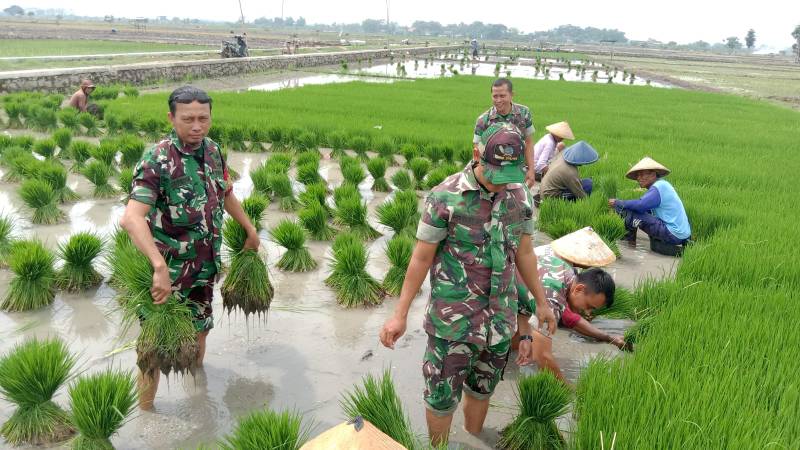 <p>Anggota TNI terjun untuk mendukung ketahanan pangan. Anggota DPR RI TB Hasanuddin mengingatkan bahwa prajurit TNI aktif sebaiknya tetap fokus pada tugas pokok dan fungsi (tupoksi) pertahanan. (Dok.kodim0718.tni-ad.)</p>

