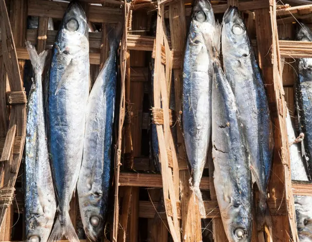 Ikan pindang bisa mengatasi isu kemiskinan dan stunting. 