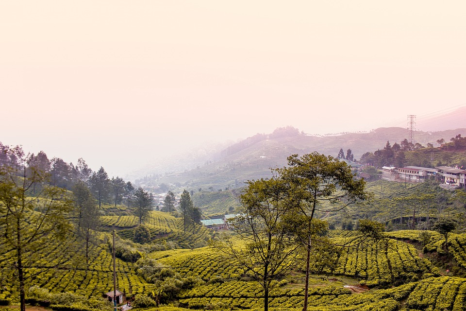 <p>Ilustrasi tempat wisata. Simak 5 tempat wisata kuliner terbaik di Bogor, Jawa Barat yang cocok dikunjungi. Gambar: Pixabay.</p>
