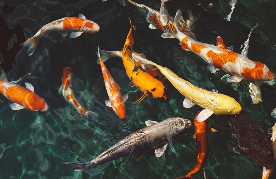 Ide Usaha Kreatif di Desa Tahun 2026 yang Menjanjikan dengan Modal Kecil