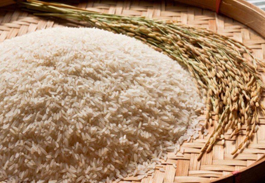 <p>Ilustrasi beras. Berikut jadwal pencairan bansos beras 10 kg, simak kriteria dan cara cek penerimanya. (Foto: Freepik).</p>
