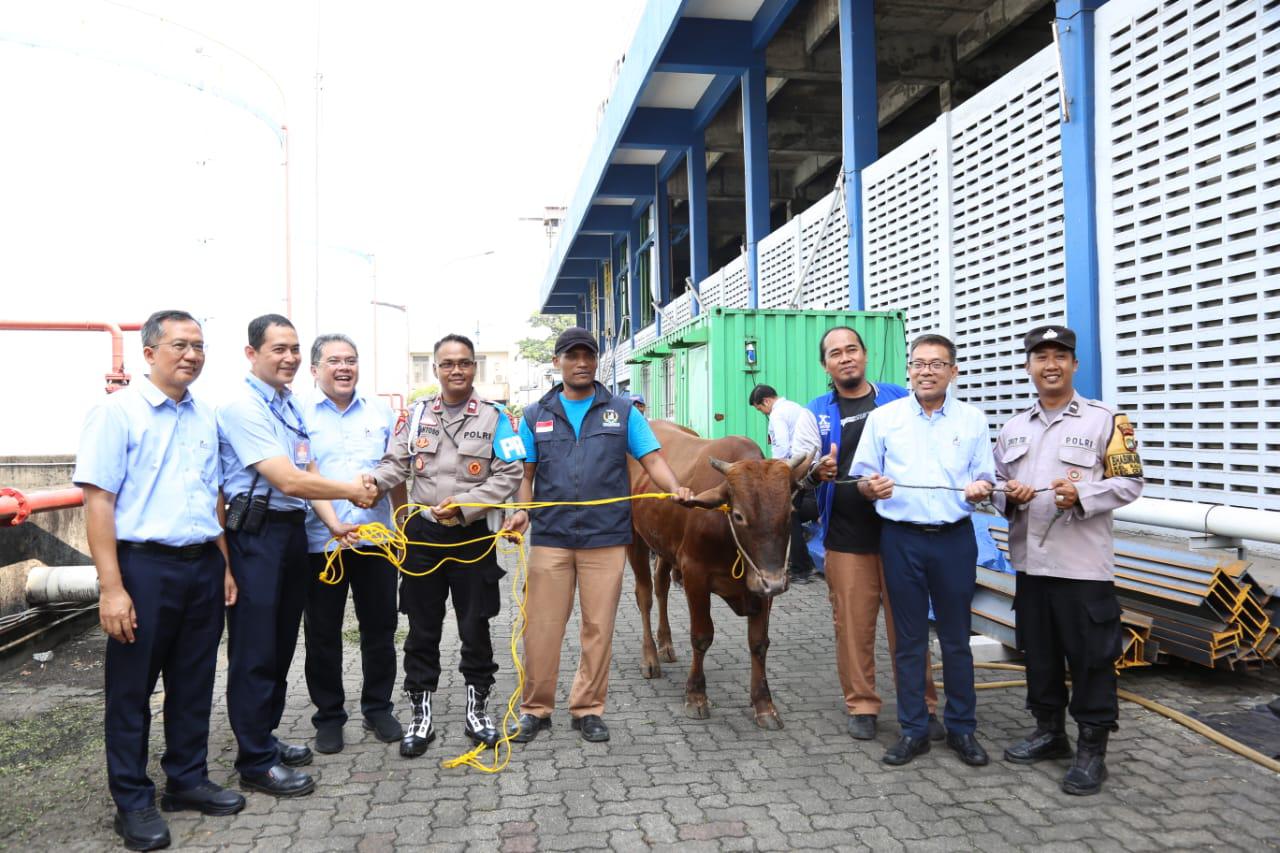 <p>Total hewan kurban yang dibagikan Bogasari dalam perayaan Iduladha 1446 Hijriah ini sebanyak 66 ekor yang terdiri dari 22 ekor sapi, 1 ekor kerbau dan 43 ekor kambing. (Dok. Bogasari)</p>

<p> </p>
