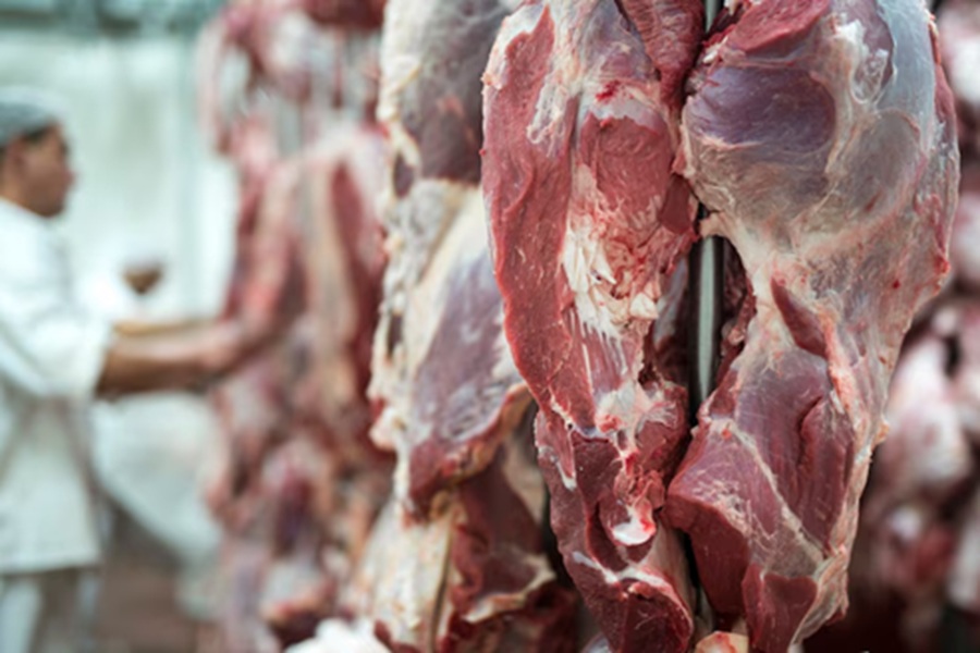 <p>Ilustrasi daging kurban. Berikut ini dua tahapan penting pemeriksaan hewan ternak sebelum disembelih ketika Idul Adha. (Foto: Freepik).</p>
