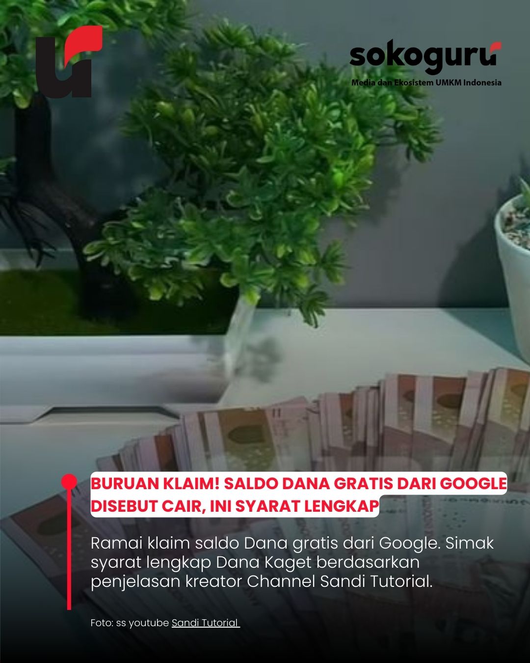Buruan Klaim! Saldo Dana Gratis dari Google, Ini Syarat yang Wajib Dipenuhi