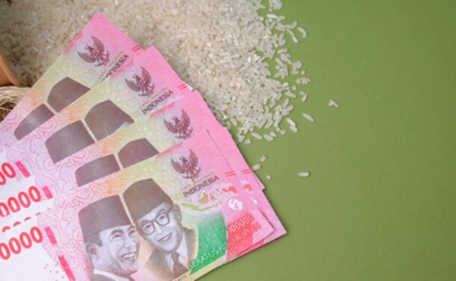 <p>Ilustrasi uang dan beras. Simak jadwal pencairan bansos beras 20 kg dan BLT Rp400 ribu. (Foto: Freepik).</p>
