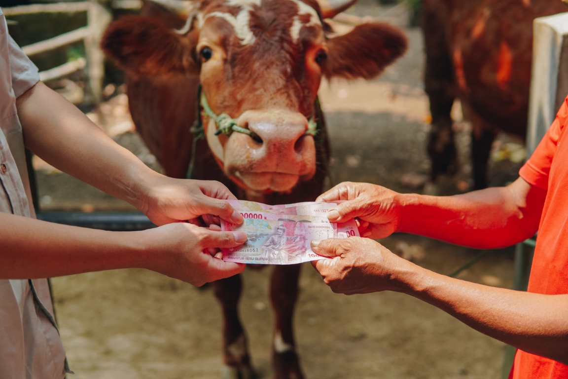 <p>Ilustrasi modal usaha koperasi desa merah putih. Resmi aturan terbaru untuk modal usaha koperasi desa merah putih! Cek penjelasannya berikut ini! Foto: merahputih.kop.id</p>
