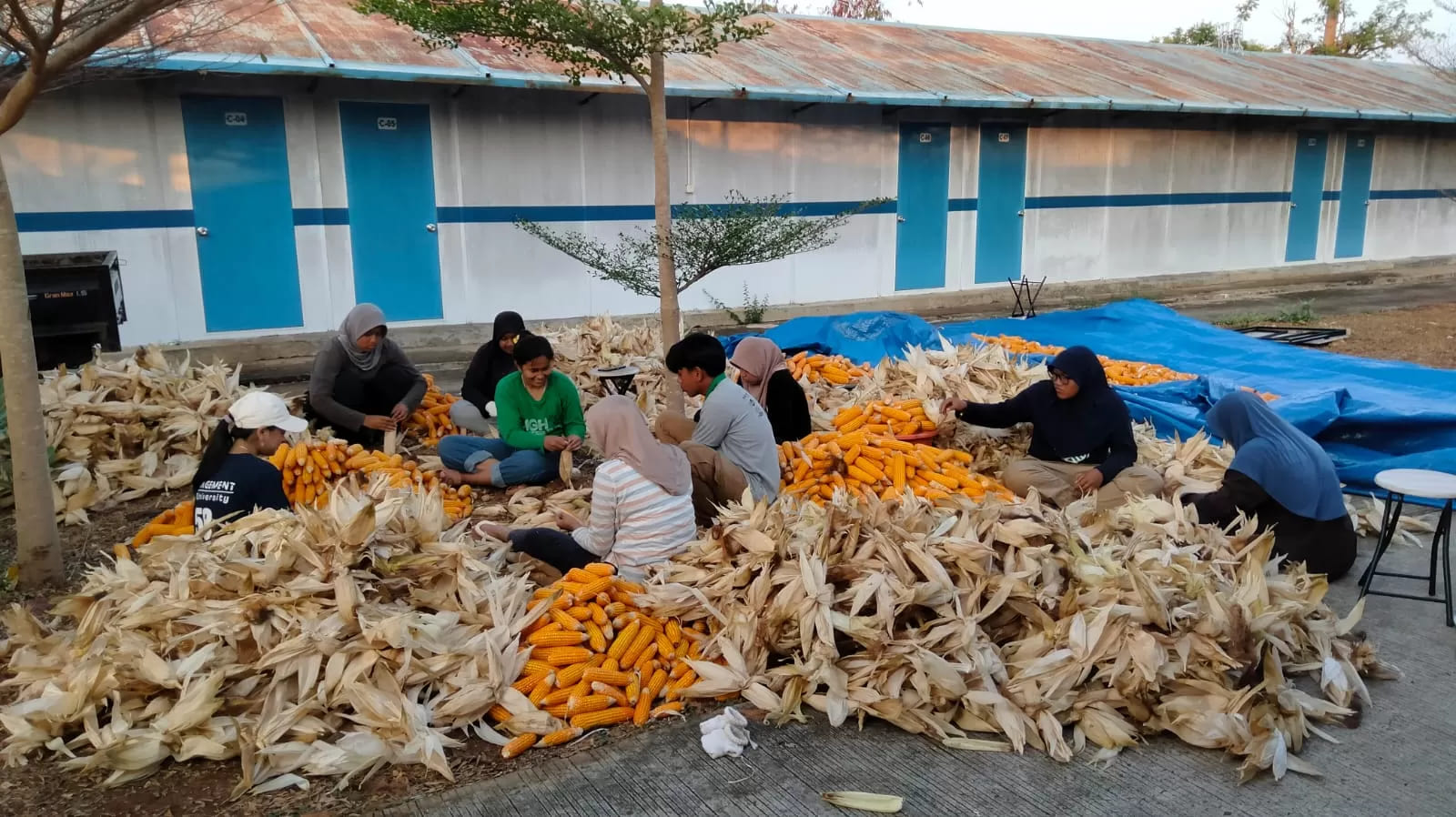 <p>PLN Nusantara Power UP Tanjung Awar-awar memanfaatkan limbah pertanian jagung sebagai bahan campuran batu bara (co-firing) pada PLTU berkapasitas terpasang; 2 X 350 MW di Desa Wadung, Jenu, Tuban. (Dok. PLN)</p>
