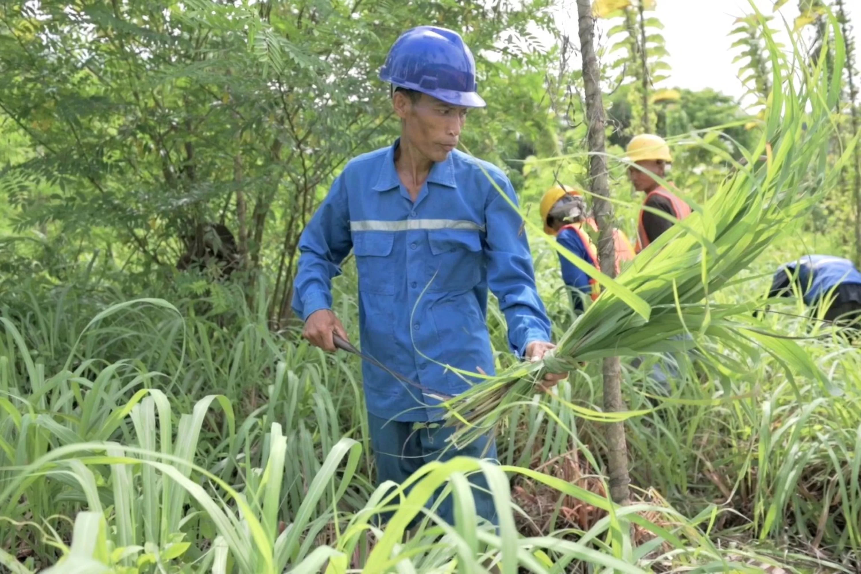 <p> PT Solusi Bangun Indonesia Tbk (SBI), anak usaha PT Semen Indonesia (Persero) Tbk (SIG), menyulap lahan pascatambang di Pabrik Narogong, Jawa Barat, menjadi kawasan hijau produktif. (Dok. SIG)</p>
