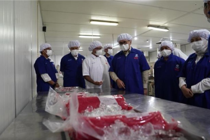 <p>Ilustrasi pekerja pabrik tuna di padang tengah proses pengepakan frozen yellow fin tuna loin sebelum diekspor ke uni emirat arab, simbol kebangkitan ekspor perikanan sumatra barat ke pasar global. foto: Dok. kemendag.go.id</p>
