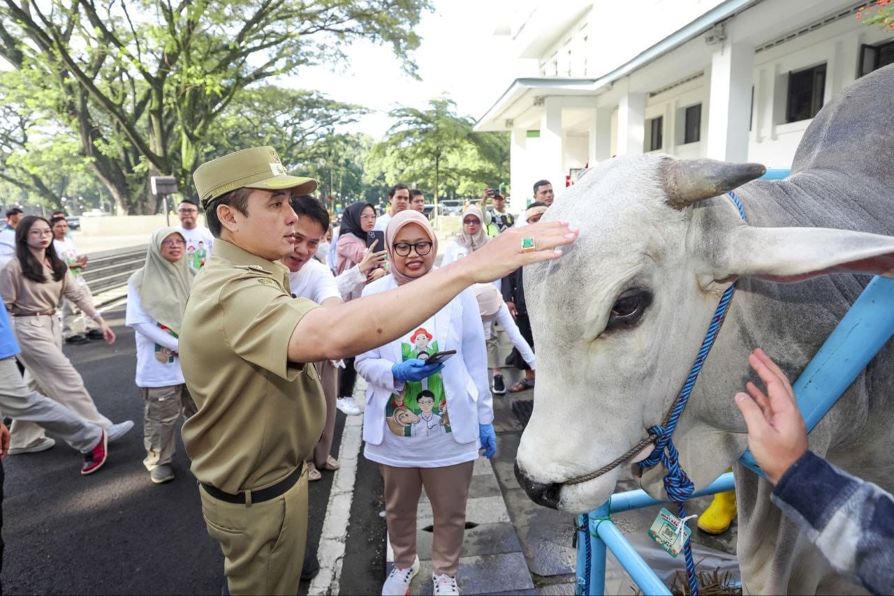 <p>Wakil Wali Kota Bandung, Erwin, memeriksa sapi kurban saat melepas Satuan Tugas Pemeriksaan Hewan Kurban di Plaza Balai Kota Bandung, pada Senin, 19 Mei 2025. (Dok.Pemkot Bandung)</p>
