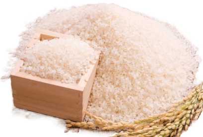 <p>Pemerintah resmi memperpanjang penyaluran bansos beras 10 kg bagi 18,27 juta KPM hingga akhir tahun 2025.</p>
