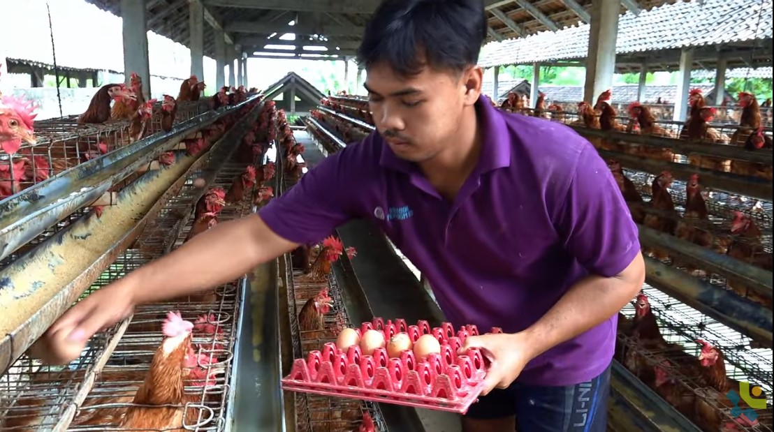 <p>Ilustrasi modal usaha anggaran koperasi merah putih. Berapa anggaran koperasi desa merah putih? Simak info dan estimasi modal usaha yang dibutuhkan untuk menjalankan koperasi desa merah putih. Foto: Tangkapan Layat Youtube Asisten Deputi Digitalisasi Kemenkop</p>
