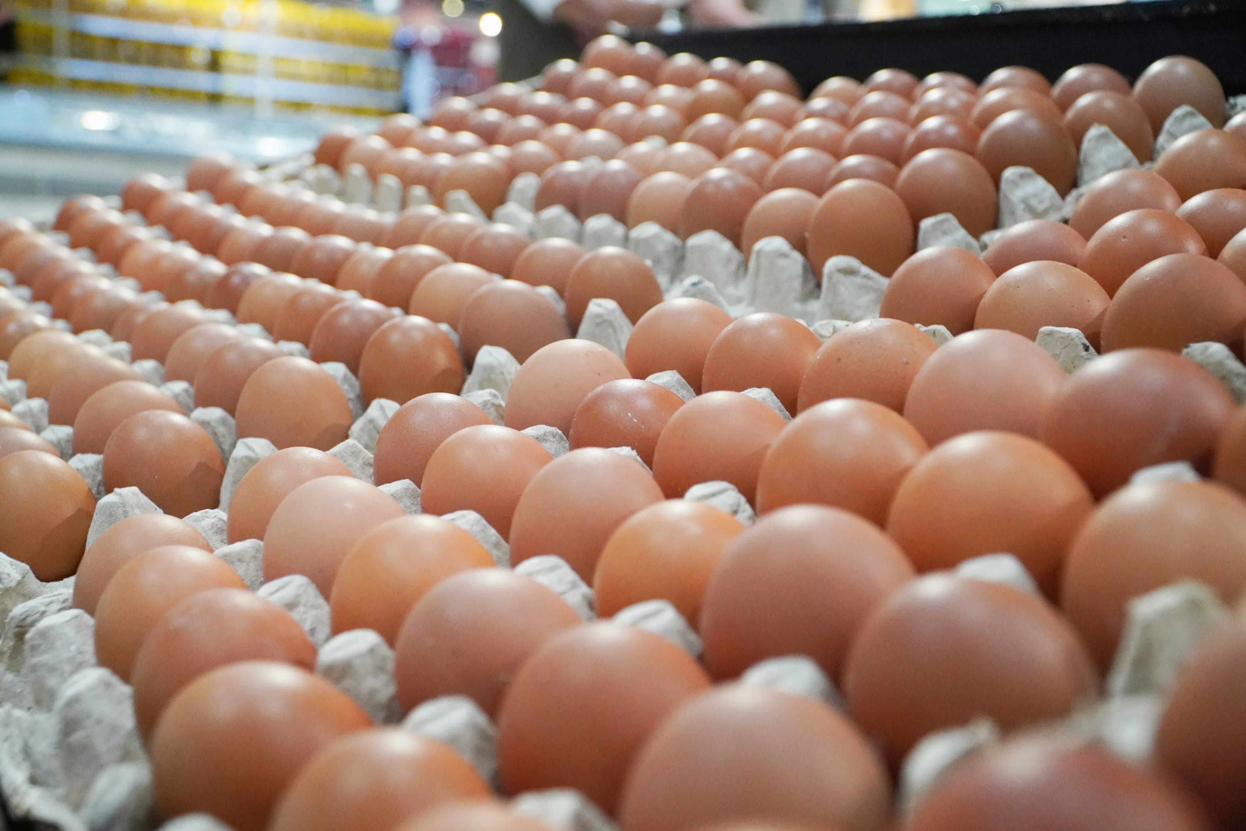 Produksi Telur Ayam Ras Nasional Melebihi Kebutuhan, Ketersediaan Telur Aman Sampai Lebaran 2026